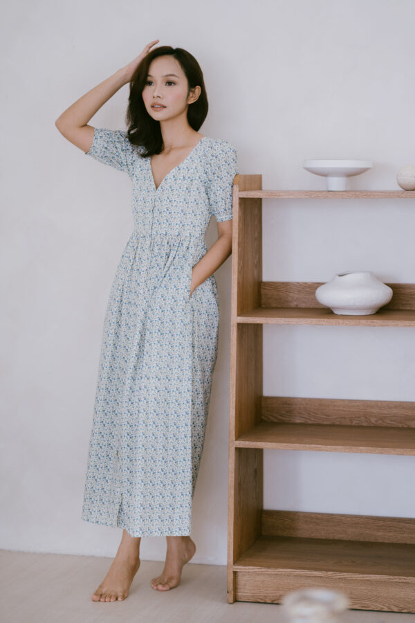 Women Niya Dress
